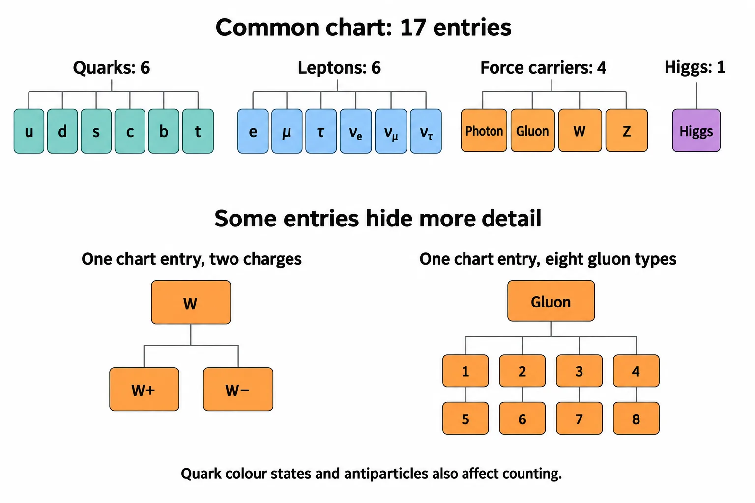 A 17-entry chart groups six quarks, six leptons, four force-carrier entries and one Higgs, while expansions reveal two W charges and eight gluon types.
