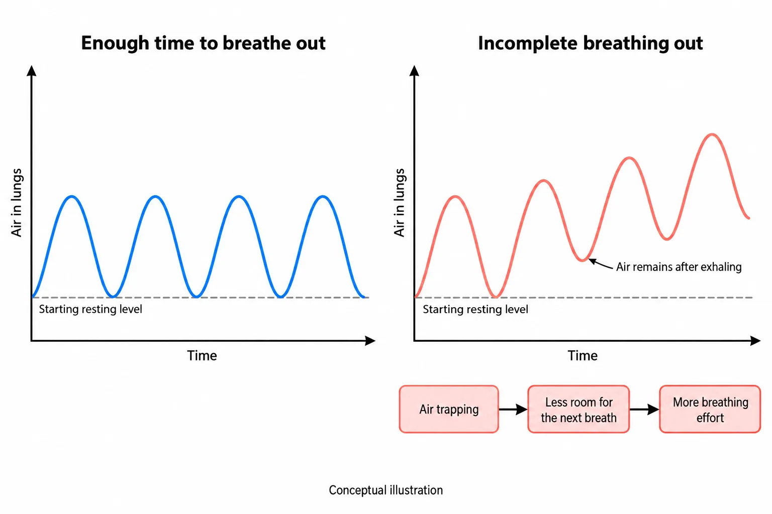 Breathing curves compare full exhalation with successive incomplete exhalations that leave increasing amounts of air in the lungs.