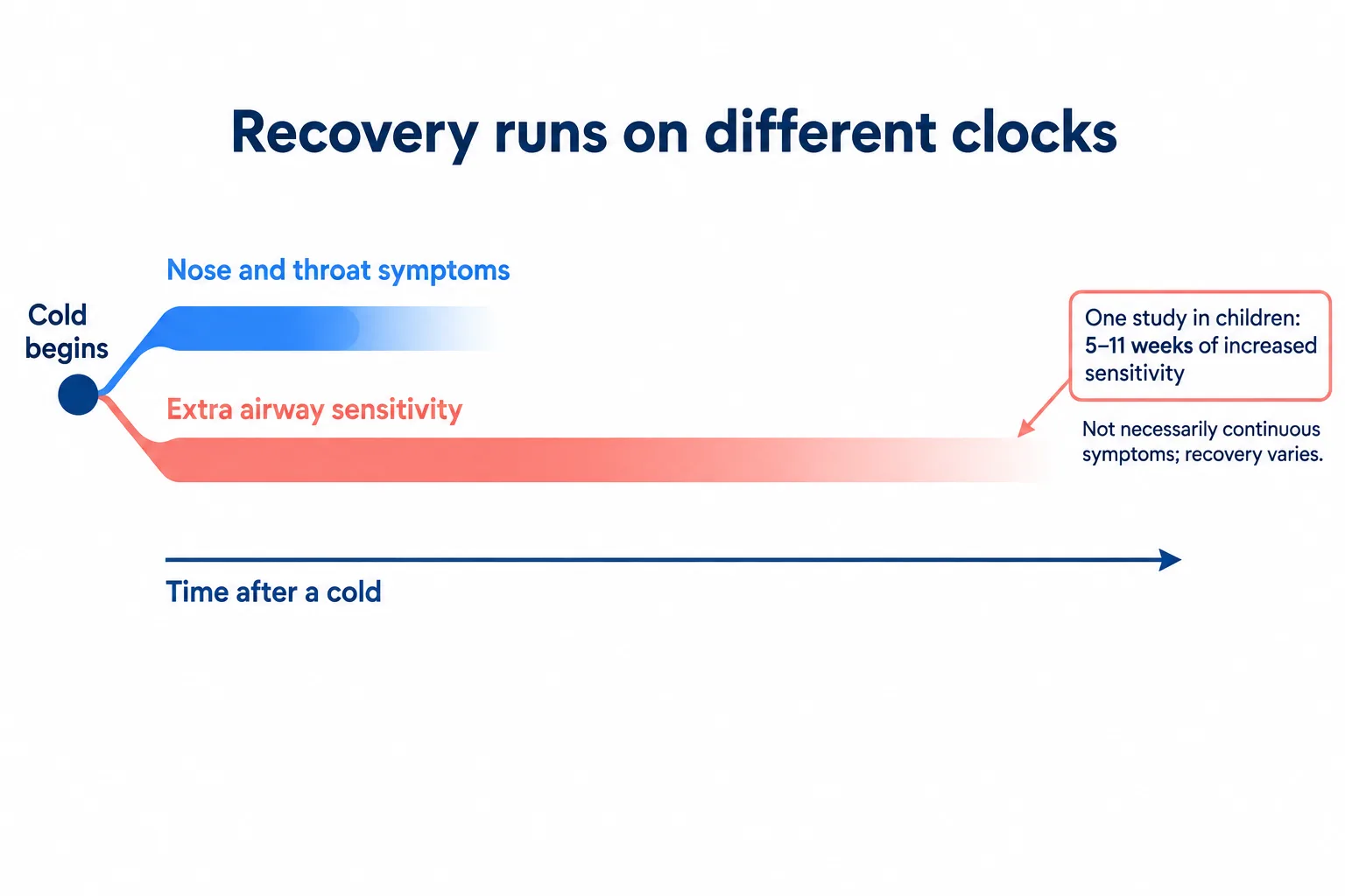A conceptual timeline shows cold symptoms fading before extra airway sensitivity, with a qualified finding of five to eleven weeks in one study of children.