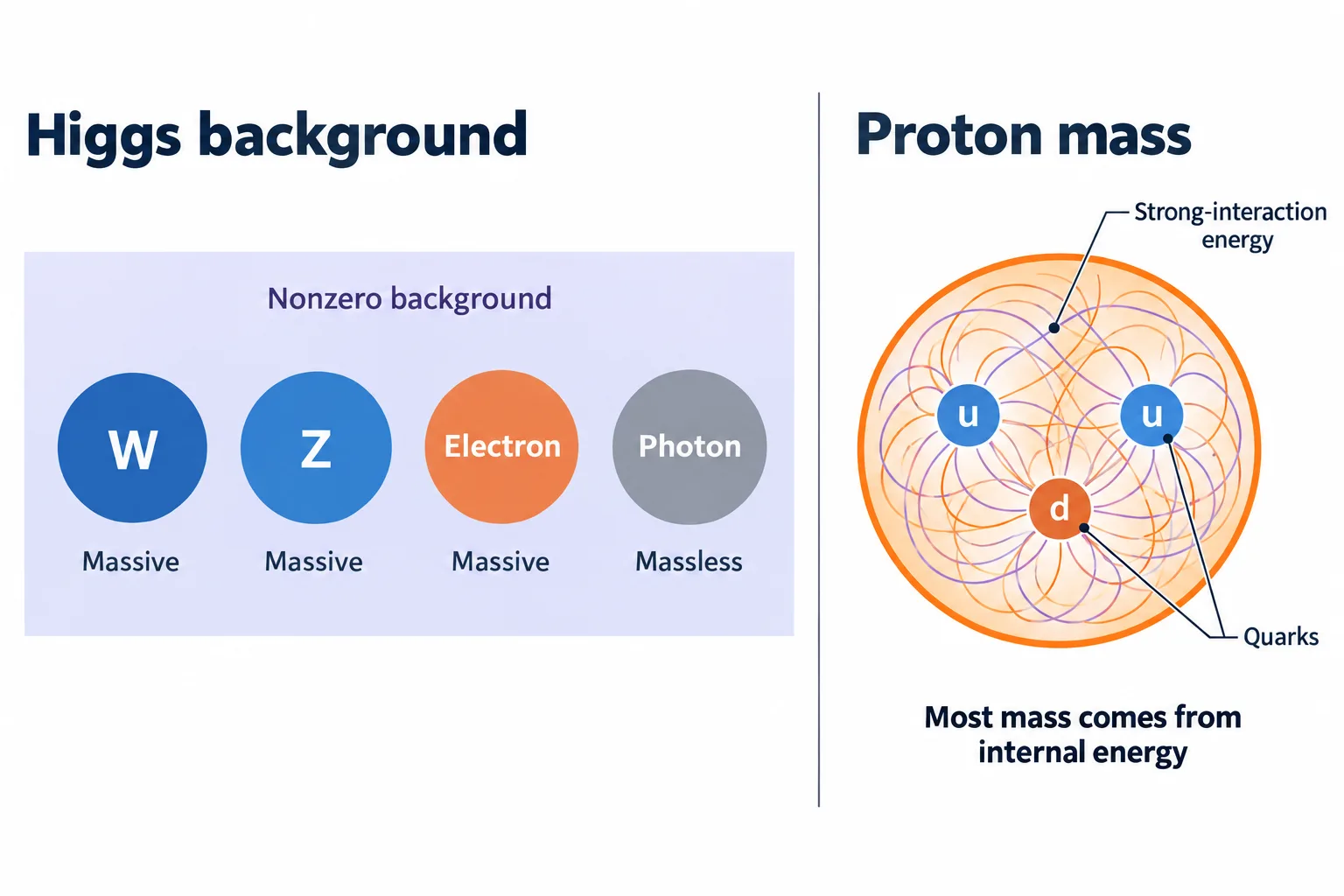 The Higgs background gives W, Z, and electrons mass while the photon remains massless; most proton mass comes from internal strong-interaction energy.