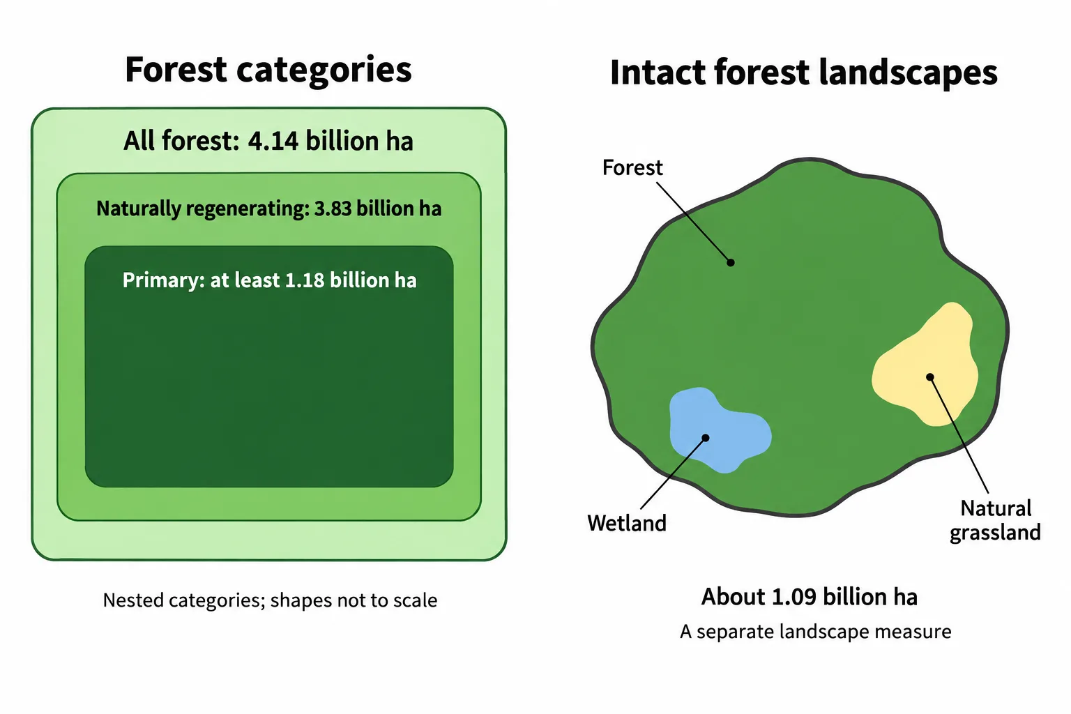 Nested forest categories are shown separately from an intact landscape that includes forest, wetland and natural grassland.