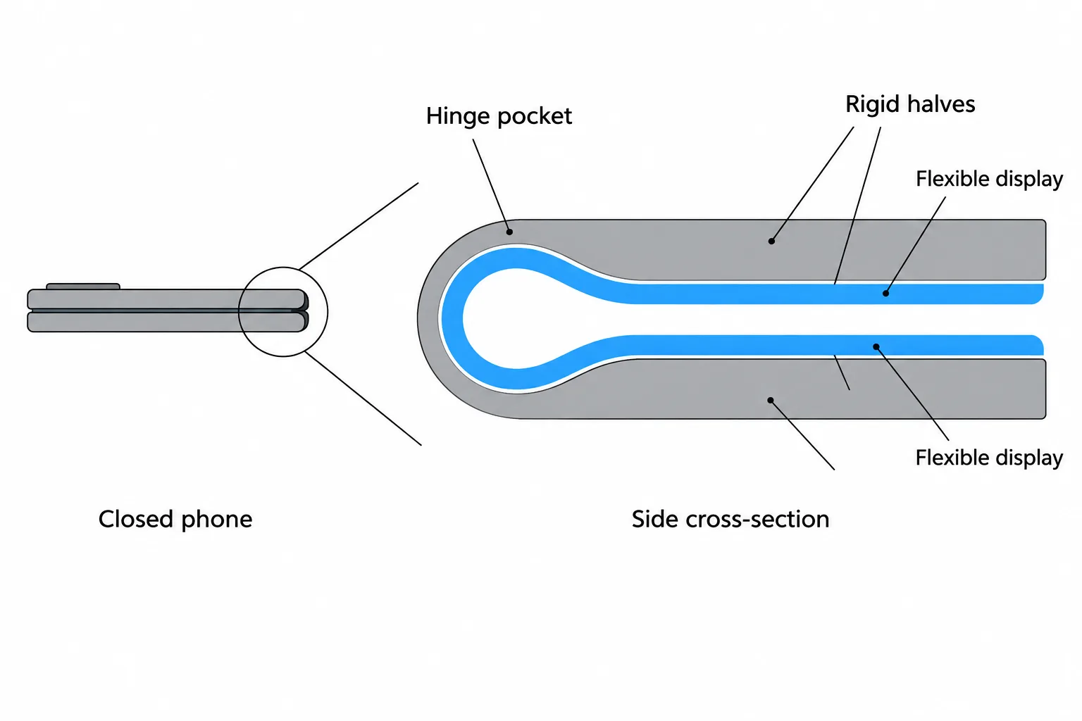 A magnified side cross-section shows how nearly parallel phone halves leave space for a rounded display loop.