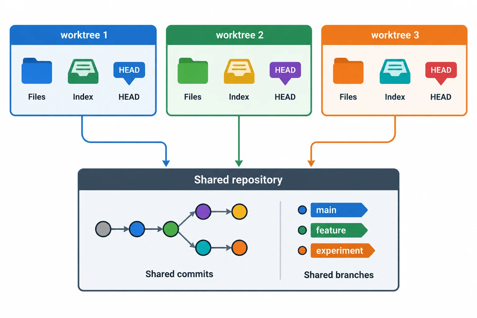 Each worktree has its own files, index, and HEAD, while commits and branch references are shared.