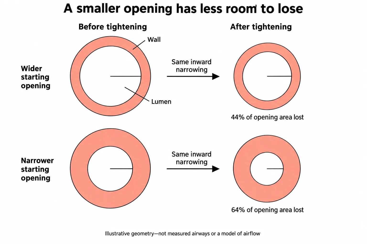 Four tube cross-sections show that equal inward narrowing removes a larger fraction of an already smaller opening.