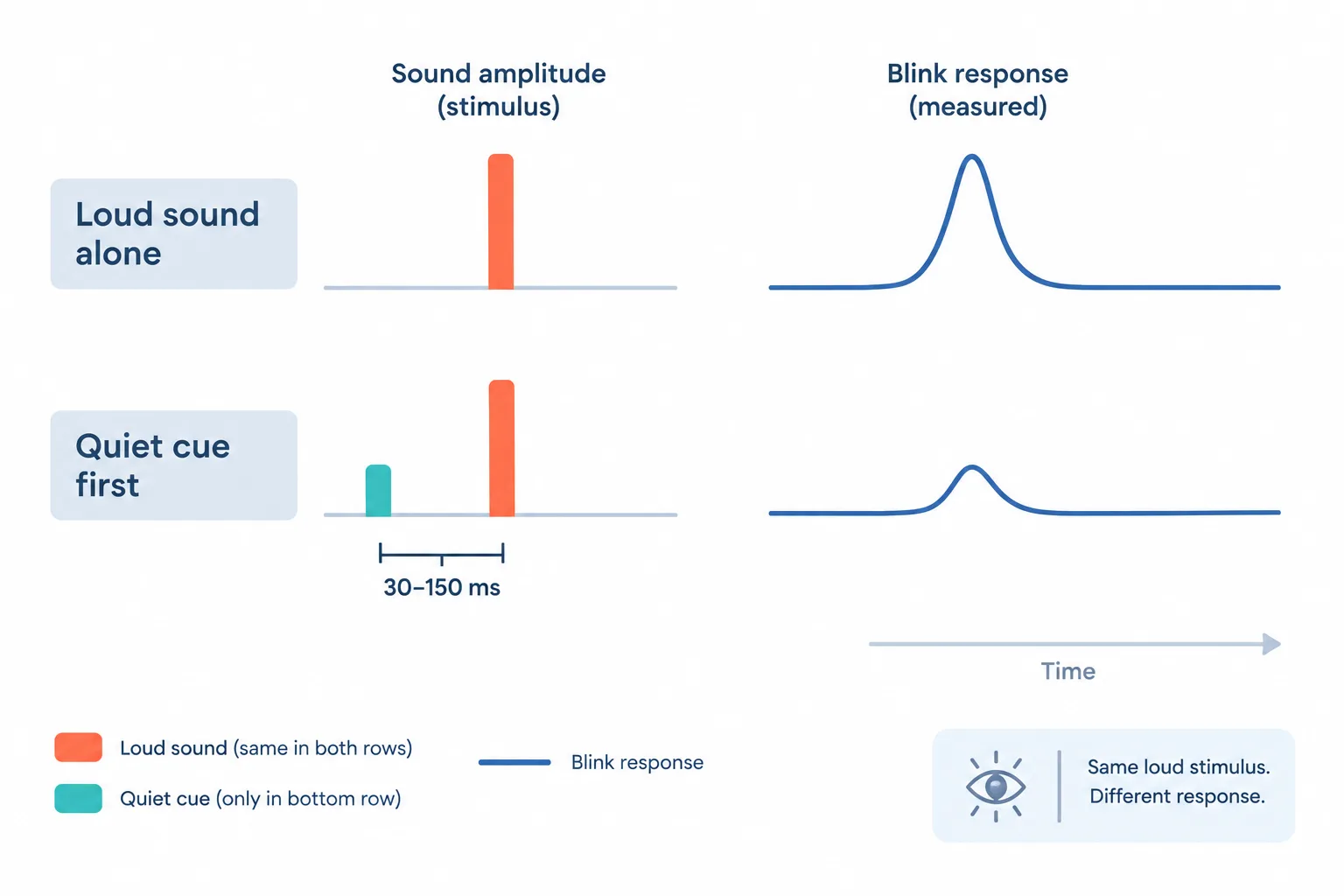 Aligned timelines show an identical loud sound producing a smaller blink response when a quiet cue occurs 30–150 milliseconds earlier.
