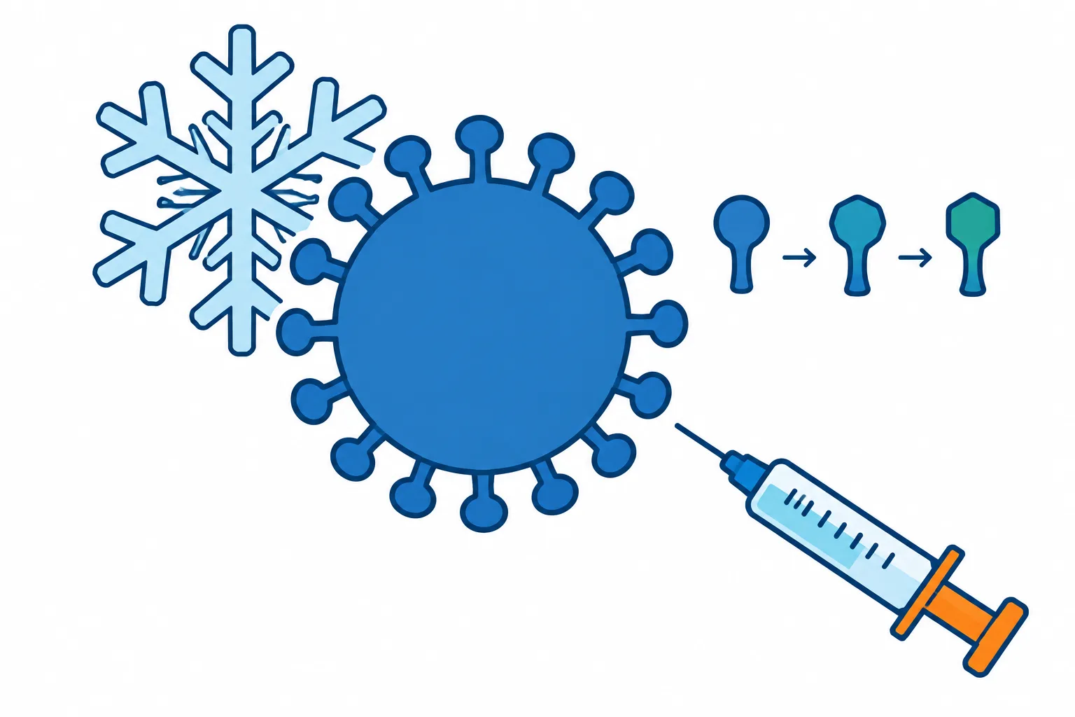 A flu-virus symbol between a snowflake and a vaccine syringe connects winter transmission with changing viral features and vaccination.