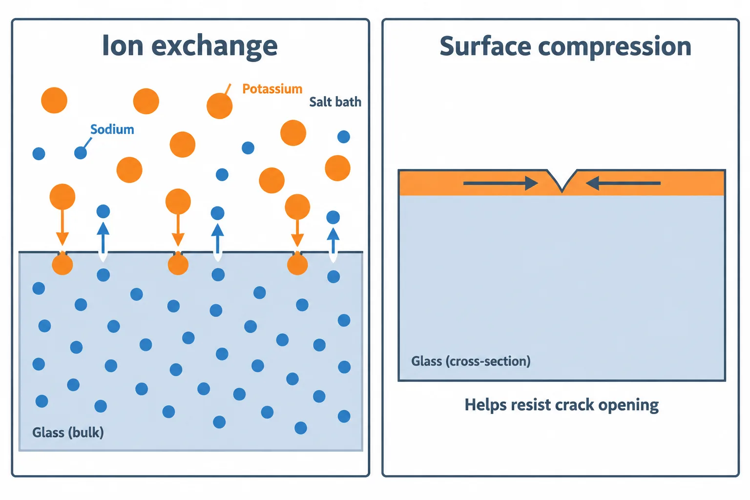 Larger potassium ions replace smaller sodium ions near a glass surface, creating compression that resists crack opening.