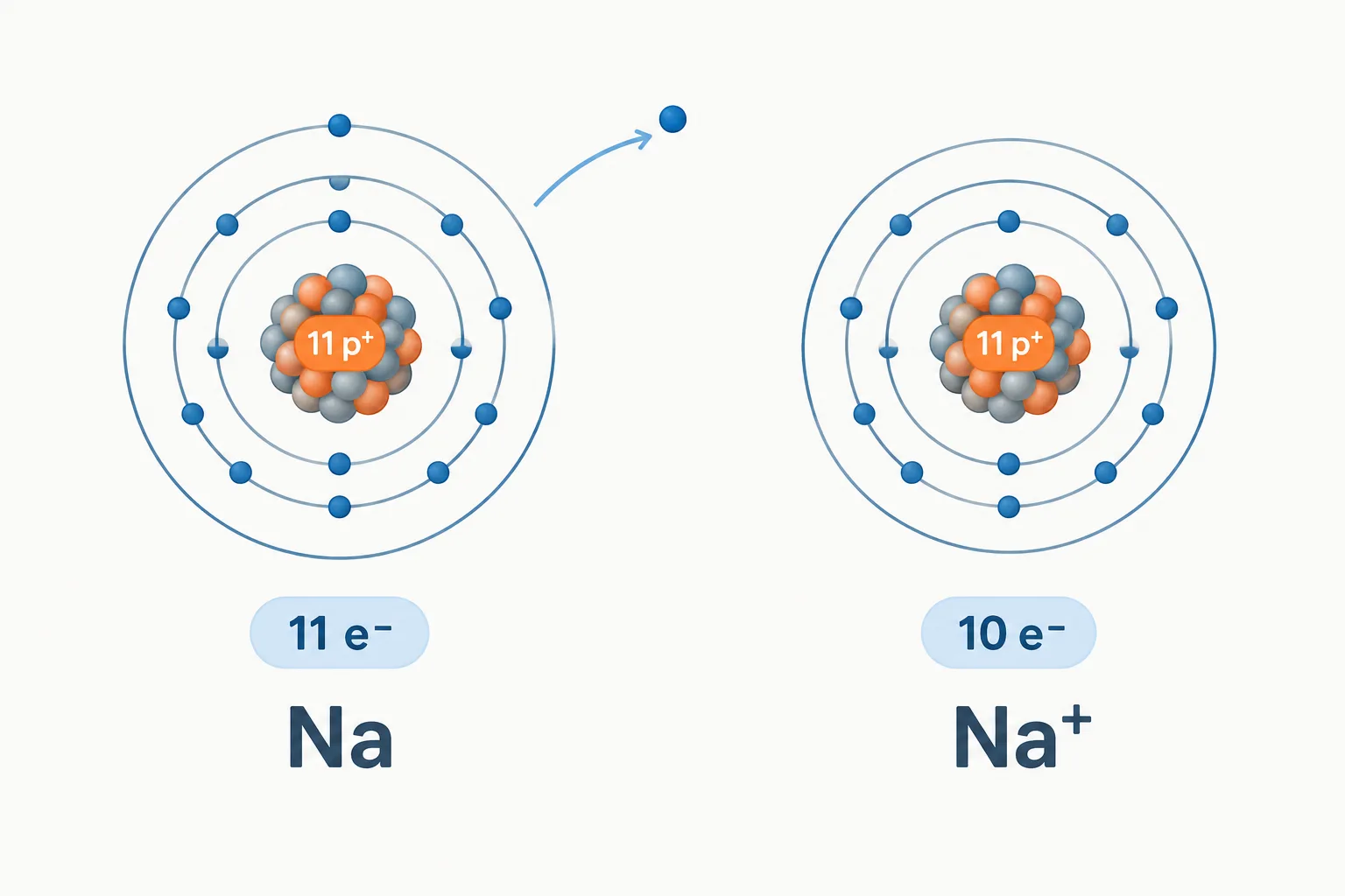 A sodium atom becomes a positive sodium ion when one electron leaves while its 11 protons remain.
