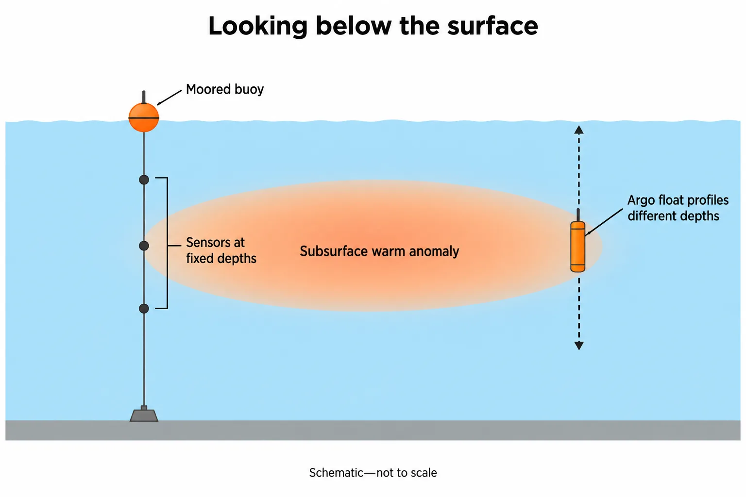 A moored buoy and a profiling Argo float sample a subsurface warm anomaly that is not visible at the ocean surface.