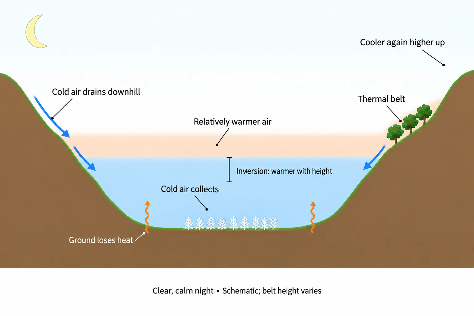 A valley cross-section shows cold air draining downhill and pooling beneath a relatively warm layer that meets the hillside at a thermal belt.