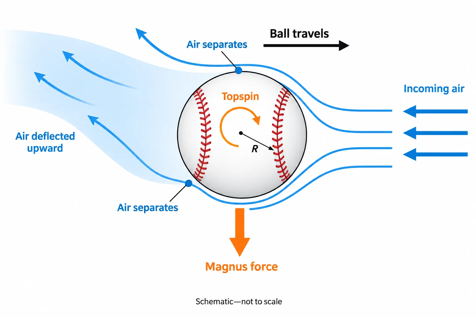 Air flowing past a topspinning baseball separates earlier above than below, forming an upward-deflected wake and a downward force.