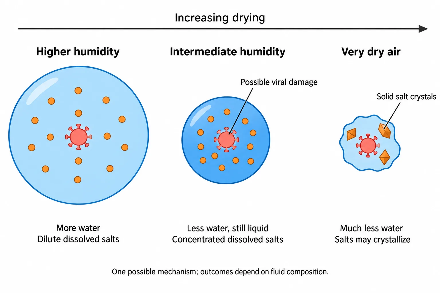 Three schematic particles show how drying can concentrate dissolved salts before very dry conditions allow salt crystals to form.